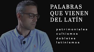 PALABRAS que vienen del LATÍN [upl. by Kozloski]