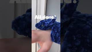 Crocheting Saphira the dragon dragon crochet amigurumi eragon shorts [upl. by Noirred]