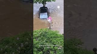 quotStop What Are You Doingquot Driver Plunges Into Flooded Creek Climbs Pole [upl. by Nossila900]