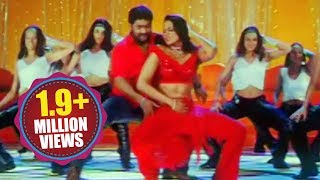 Narasimhudu Songs  Singu Singu  Jr NTR Sameera Reddy [upl. by Belinda]