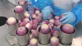 How Its Made  Onions Gills Onions [upl. by Adleme]