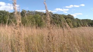 Woodburys Prairie Ridge Park [upl. by Eduardo]