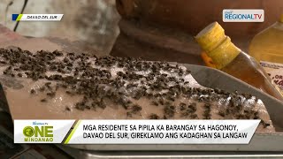 One Mindanao Mga residente sa Hagonoy Davao del Sur gireklamo ang kadaghan sa langaw [upl. by Leuqcar]