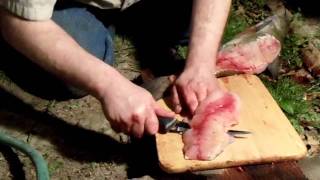 Clubbing Cleaning and Filleting a Catfish  How To Video [upl. by Anaidirib5]