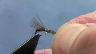 Fly Tying with Hans CDC MIDGE EMERGER [upl. by Araes780]