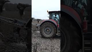 Case IH Optum 300 cvx  Lemken EurOpal 8 [upl. by Einehpets301]