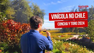 Vinícola Concha y Toro Como é o tour e a degustação Marqués  Passeios no Chile  2024 [upl. by Risay]