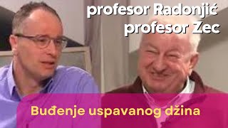 Buđenje uspavanog džina  prof Ognjen Radonjić [upl. by Allwein]