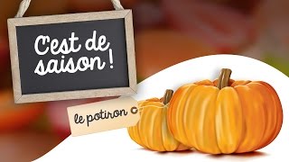 Cest de saison  Le potiron [upl. by Zeugirdor]