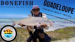 Fishing BONEFISH from GUADELOUPE  French West Indies [upl. by Aniled]