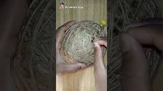 How to make a Weaver bird nest at home ll video shorts [upl. by Aynotahs721]