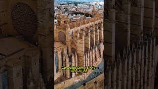 La Catedral de Mallorca El Gigante Gótico Frente al Mar [upl. by Eiramacissej]