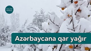 Azərbaycana qar yağır  Bakı və rayonlar  Hava  Doğru Xəbər Az [upl. by Ag]