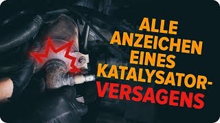 Wie man einen Katalysator überprüft  AUTODOCTipps [upl. by Nnylarat]