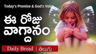 Todays promise Nov 08112024  Eroju devuni vagdanam 8112024  Levites TV [upl. by Thaddaus]