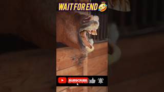 Horse Face Funny Video 🤣 shorts funny funnyfilter filter shortsfeed filterchallenge tiktok [upl. by Elacsap383]