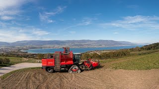 Arrachage de betteraves Agrifac OptiTraxx 1er en suisse [upl. by Atrice]