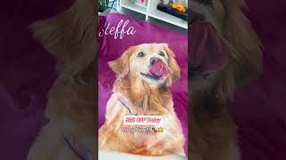 Custom Pet Blanket Using Pet Photo [upl. by Biancha]