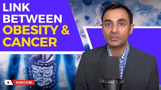 Explained How Obesity Increases Cancer Risk [upl. by Mulac]