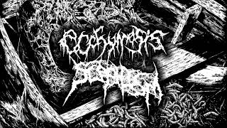 ECCHYMOSIS  Scaphism full album [upl. by Hameerak]