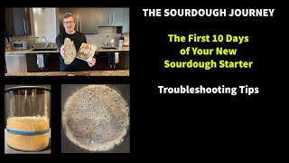 The First 10 Days of Your New Sourdough Starter Troubleshooting Tips [upl. by Anhsirk]