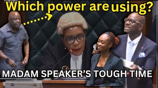 Drama In Parliament When Speaker Nelly Muttis Authority Questioned upnd vs Pf [upl. by Aro]