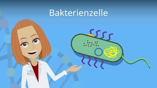 Bakterienzelle  Aufbau amp Funktion einfach erklärt  Studyflix [upl. by Isadora96]