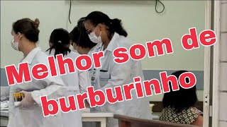 Vozes de enfermeira BURBURINHO [upl. by Rekoob507]