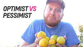 Optimisten VS Pessimisten — Doktor Allwissend [upl. by Garibald]