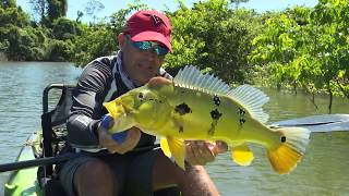 COMO PESCAR DE MOLINETE USANDO JIG PARA TUCUNARÉS DE CAIAQUE [upl. by Nahsad804]