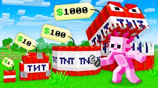 Minecraft But I Can Buy CUSTOM TNT [upl. by Pederson]