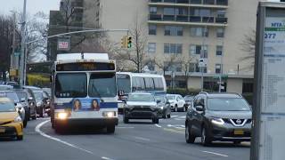 NYCT Regional Bus Orion VII OG Hybrid 6445 Q2 Bus172nd StreetHillside Avenue [upl. by Segalman]