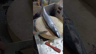 Big king fish cutting slice seafood shorts video [upl. by Aicire]