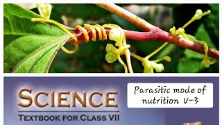 Nutrition In Plants  class 7  V 3 Digital Science with Himani [upl. by Gorton]