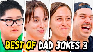 Dad Jokes  Dont laugh Challenge  Best Moments 3  Raise Your Spirits [upl. by Elvina]