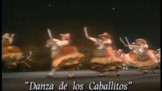 DANZA DE LOS CABALLITOS Ballet Folklorico De Amalia Hdzwmv [upl. by Slayton]