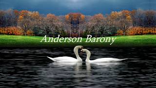 Anderson Barony  Folha secaLetra [upl. by Lananna339]