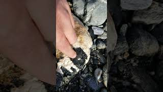 Pegmatite found in SW Oregon [upl. by Brodie]