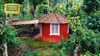 Yedamakky Plantations Coorg  A Coffee Plantation Stay at Virajpet Coorg [upl. by Janeen]