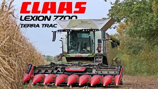 Mais dreschen 2024 🌽 Claas Lexion 7700 Terra Trac [upl. by Omle829]