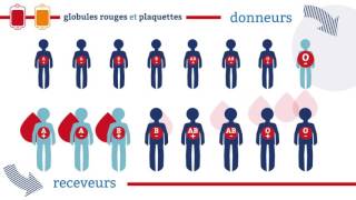 EFS  La compatibilite des groupes sanguins [upl. by Goldi]