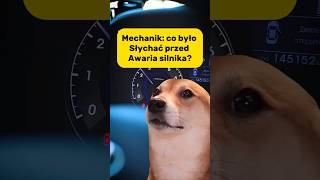 Mechanik Co było słychać przed awaria silnika😂memes mechanic car [upl. by Cherian]