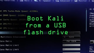 Get Started with Kali Linux as a Bootable Live USB Tutorial [upl. by Ailedamla]