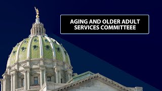 Aging and Older Adult Services Committee  April 13 2023 [upl. by Ahseym927]