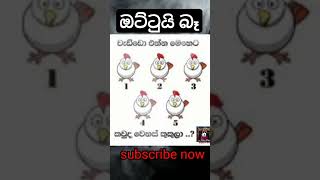 වැඩ්ඩෙක් නම් තෝරන්න 🤣 asl science and world [upl. by Josler]