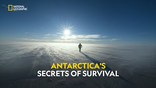 Extreme Antarctica  Continent 7 Antartica Compilations  हिंदी  Full Episode  S2  E2  Nat Geo [upl. by Warfourd]