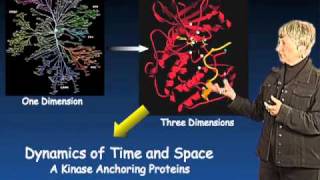 Susan Taylor UCSD Part 3 Protein Kinase Regulation and Localization [upl. by Neilla]