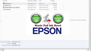 Reset Epson L395 L495 [upl. by Adolph513]