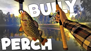 OVAJ PERCH JE PRAVI BULLY  LESNI VILLA MONSTER  Fishing Planet [upl. by Haldes]