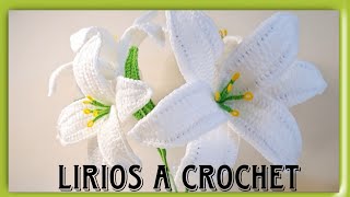 Lirios a crochet crochetflowers [upl. by Yllac723]